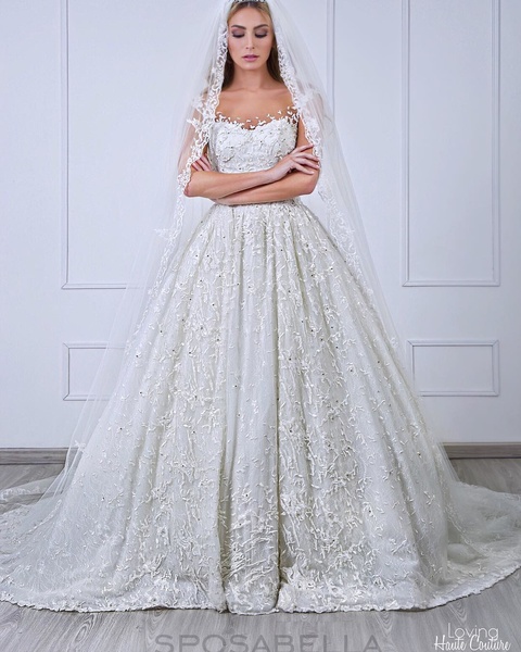 فساتين زفاف انستقرام الفستان الأنيق